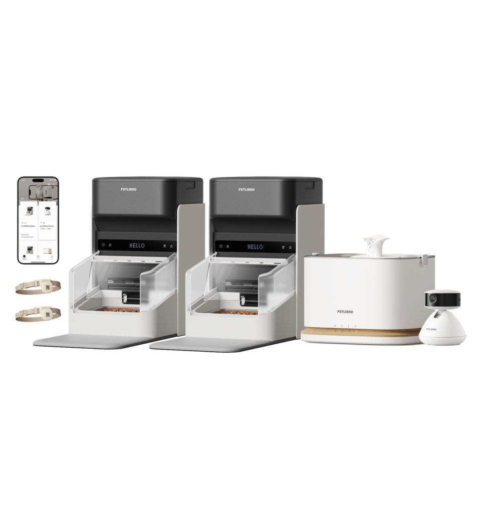 Fresh Feeding & Hydration Bundle — Fresh