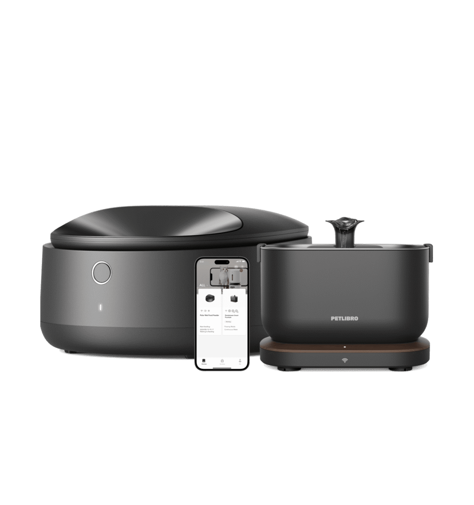 One RFID Pet Feeder Set & Scout Smart Camera